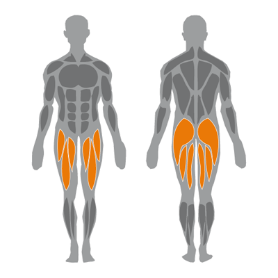 BasicLine-Leg_Extension_Machine-icon Leg Extension Machine impacted muscles
