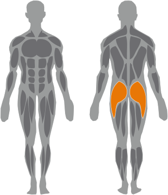 Free-Weigth_Gluteus-Machine_icon Single Cage