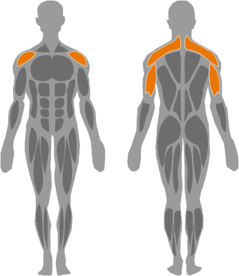 Free-Weigth_Shoulder-Press_icon shoulder
