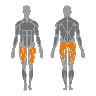 Basic-Line_Lying-Leg-Curl-Machine_icon Lying leg curl machine