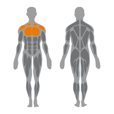 Basic-Line_Pectoral-machine_icon Pectoral machine