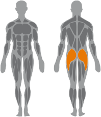 Crossbowline Gluteus Machine